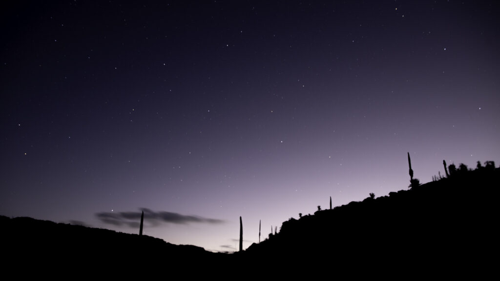 Vue de nuit sur la vallée de Webb au cœur du parc national des monts Balé