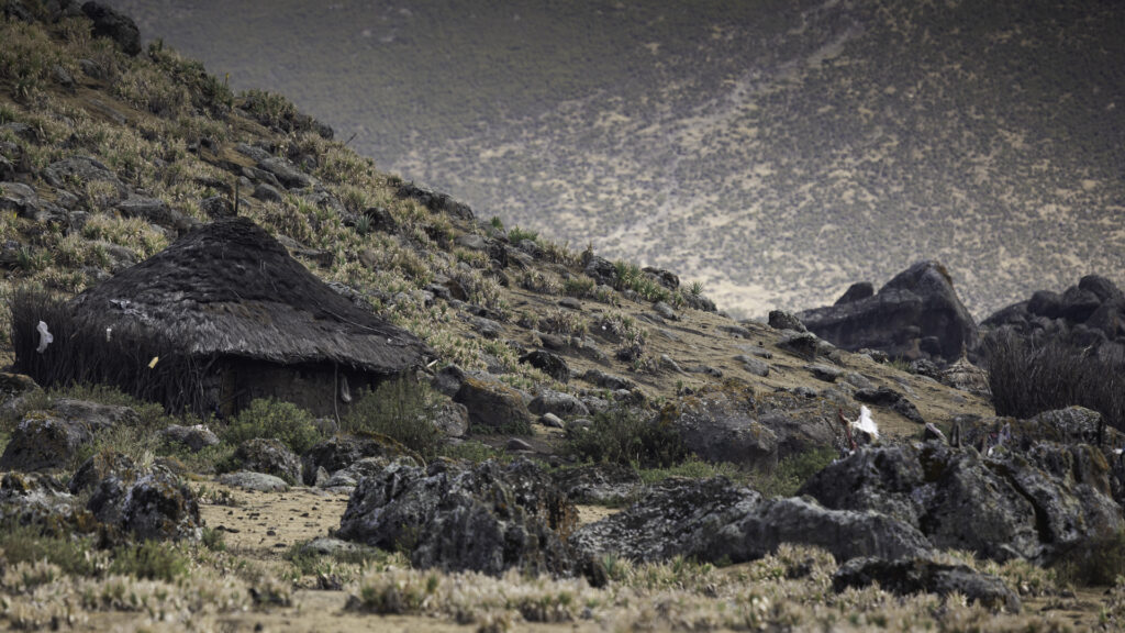 Habitation traditionnelle des populations locales au coeur du parc national des monts Balé