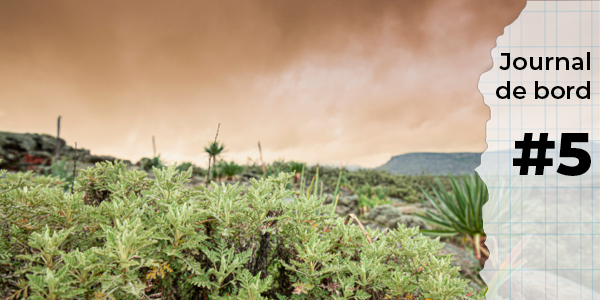 Le Parc National des Montagnes de Balé